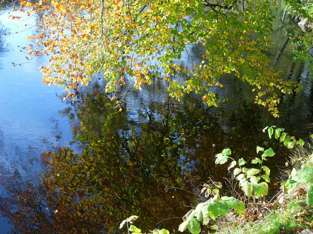 The stream Viskan in autumn, going through Borås, photo by Petter Dessne