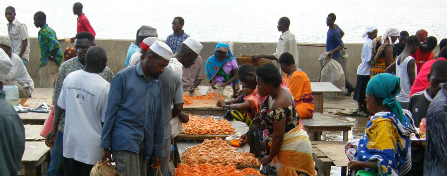 Fish market in Tanzania, photo by Linus Hammar